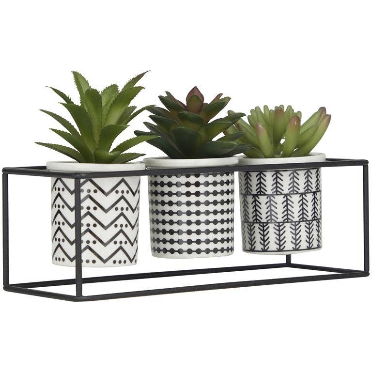 Artificial Succulents in 3 Ceramic Pots & Black Metal Stand