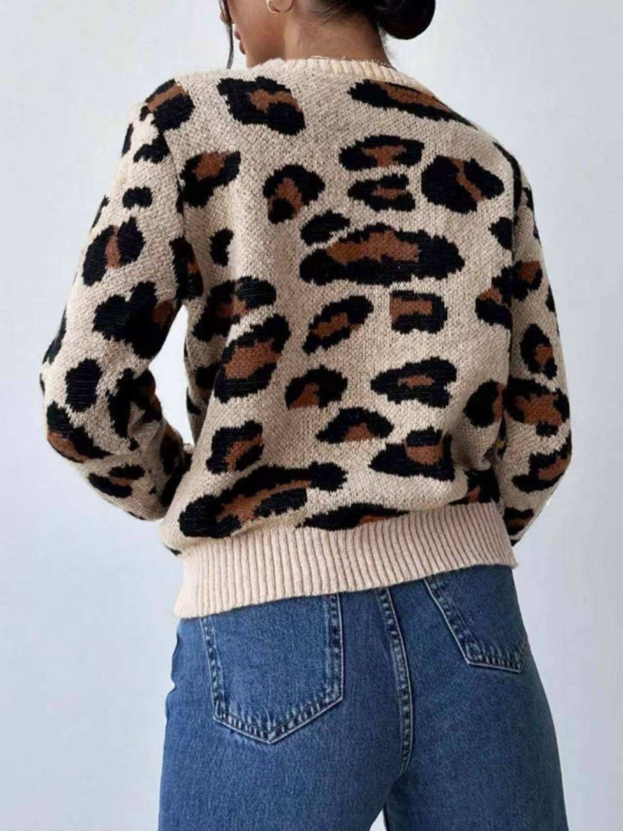 Leopard Print Pullover Sweater