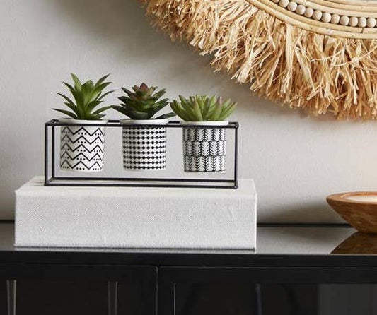 Artificial Succulents in 3 Ceramic Pots & Black Metal Stand